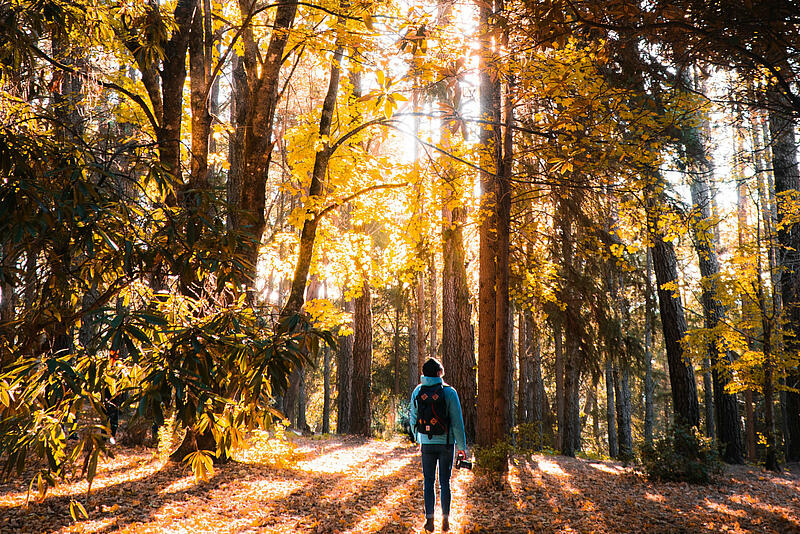 [Translate to Néerlandais:] 