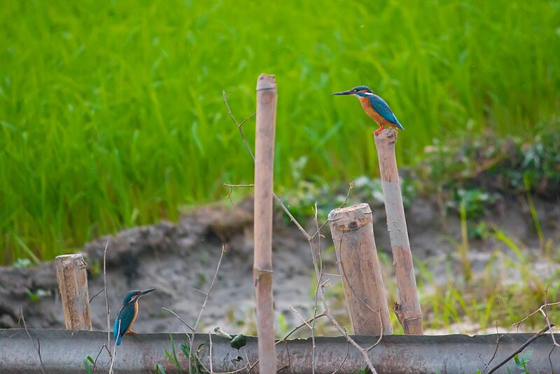 [Translate to Néerlandais:] 