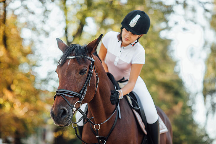 équitation camping cheval équitation vacances camping