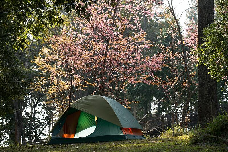 [Translate to Néerlandais:] 