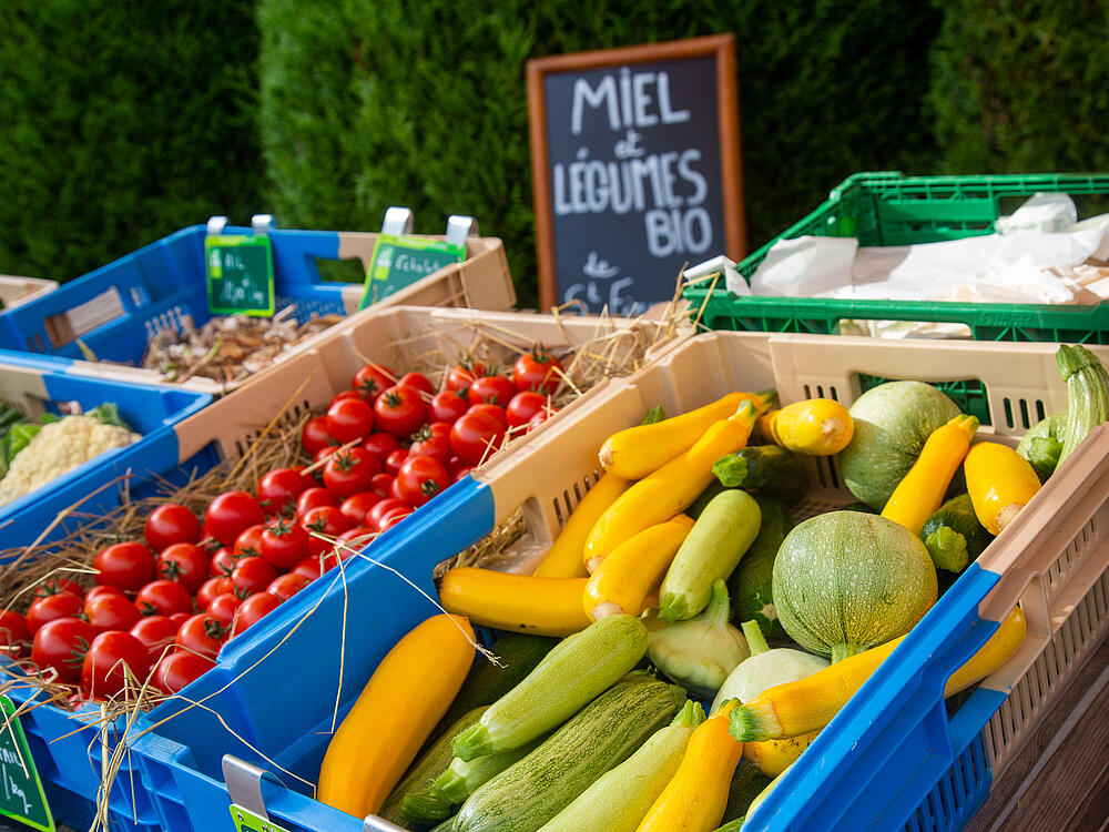 Camping Castel Camping Les Bois du Bardelet GIEN Centre-Val de Loire 17