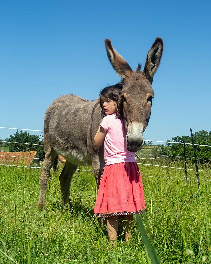 [Translate to Néerlandais:] A little girl hugging a gentle grey donkey in a green field under a blue sky, illustrating the family-friendly activities at Les Castels.