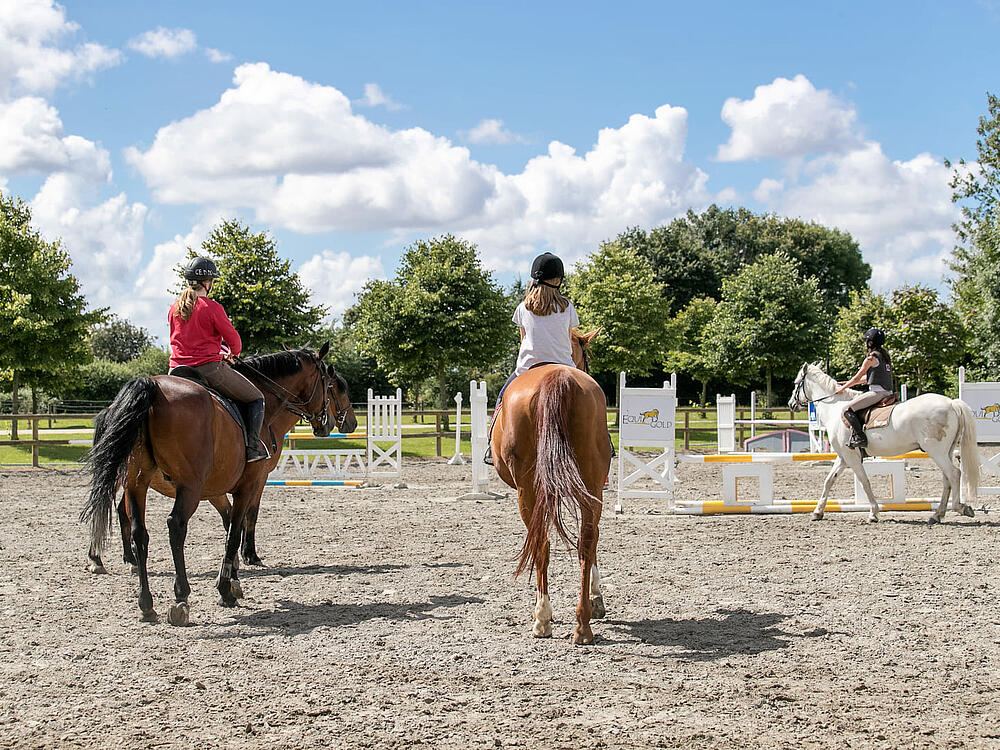 Camping Castel Camping Les Ormes, Domaine & Resort DOL DE BRETAGNE Bretagne 13