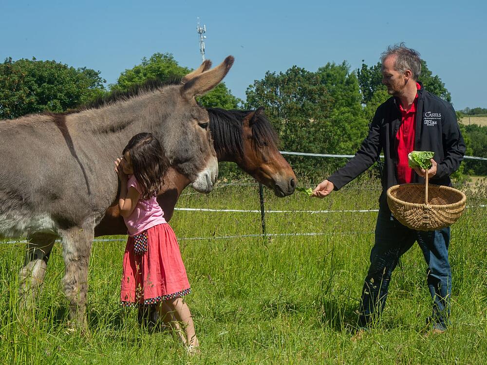 Camping Castel Camping Château de Lez-Eaux Saint Pair sur mer Normandië 11