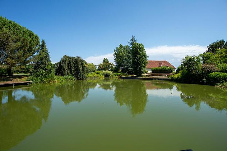 Vijver van camping Les Bois du Bardelet in de Loirestreek