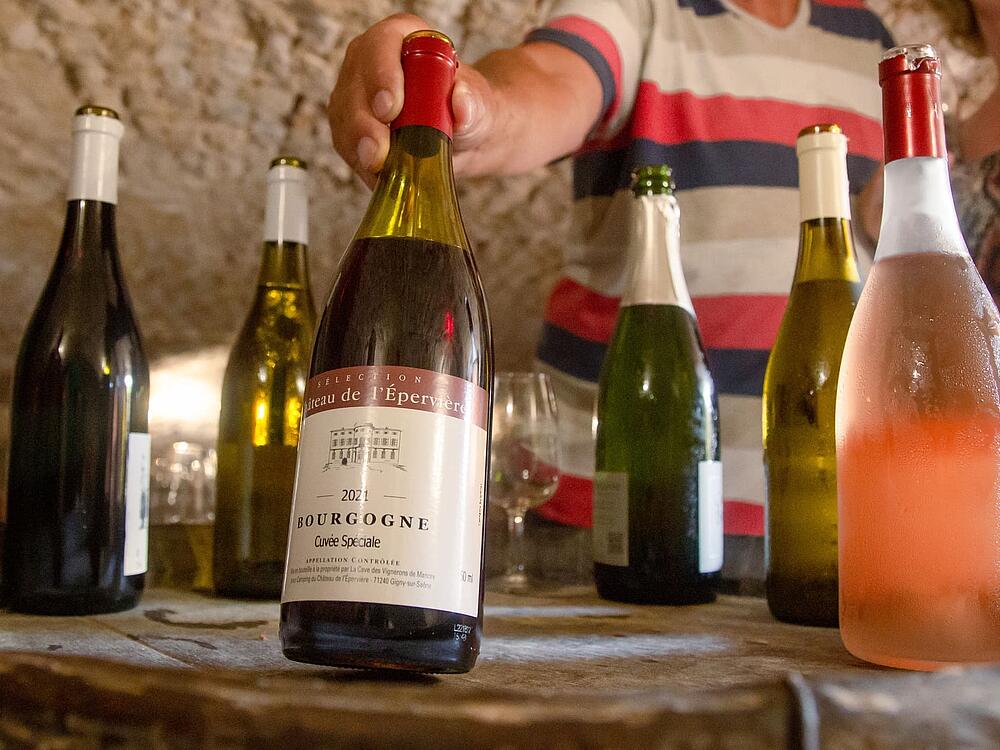 Camping Castel Camping Château de L'Epervière Gigny-sur-Saône Bourgondië-Franche-Comté 9