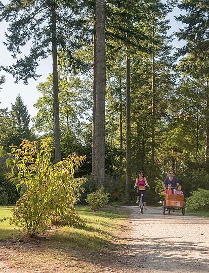Luxe kamperen met het gezin: comfortabele vakanties midden in de natuur