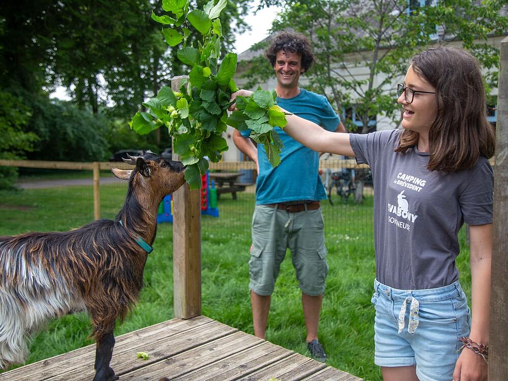 Camping Castel Camping Le Brévedent Le Brévedent Normandië 5