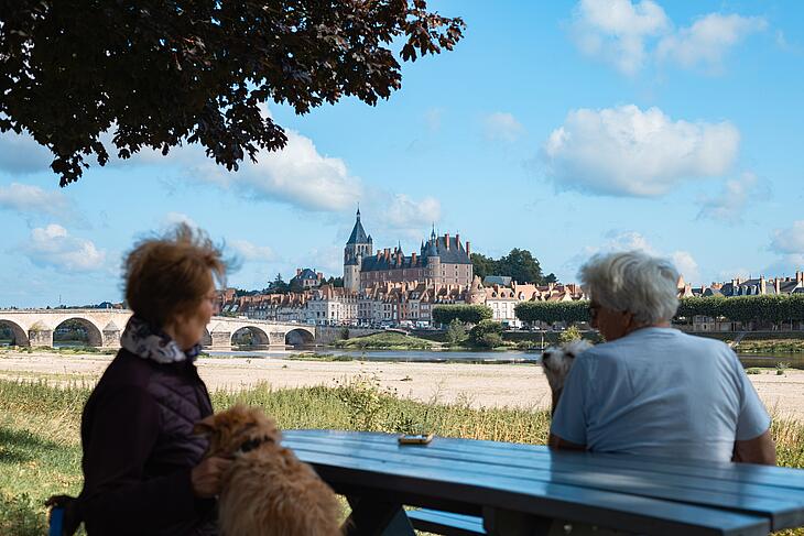 Bords de Loire dans le Loiret