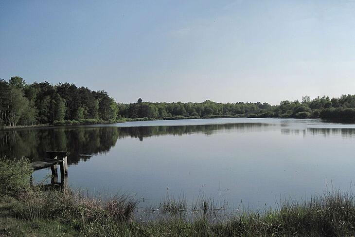 Vijver in het hart van de Sologne, omringd door natuur en bos