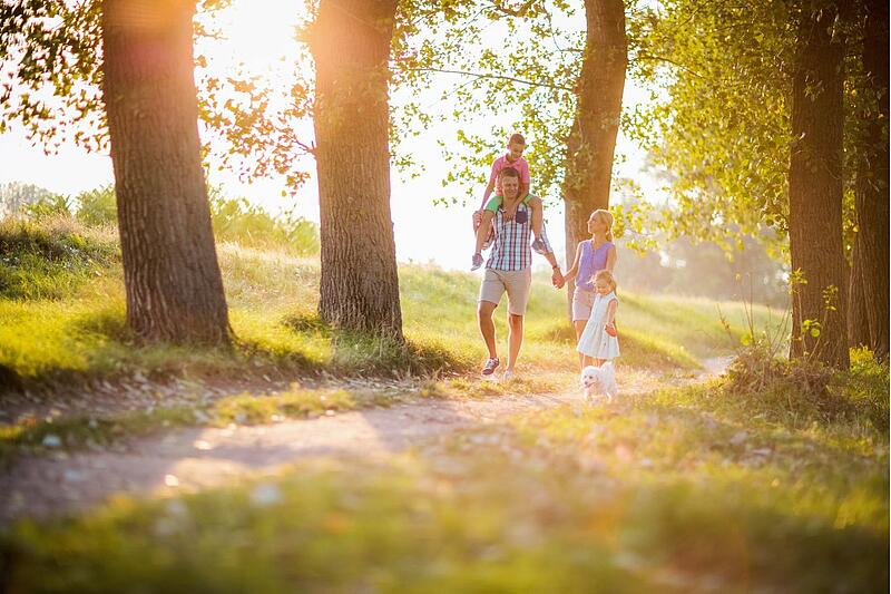 [Translate to Néerlandais:] 