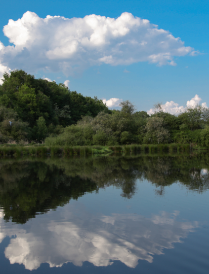 Wat te doen in de Sologne?