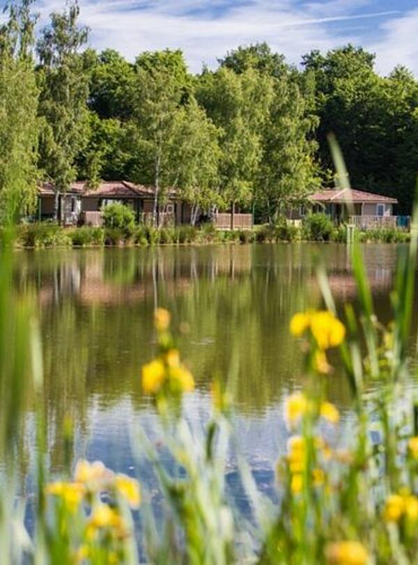 Verhuur chalets