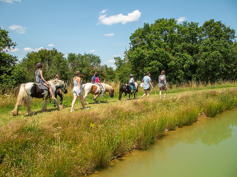 Camping Castel Camping Les Bois du Bardelet GIEN Centre-Val de Loire 5