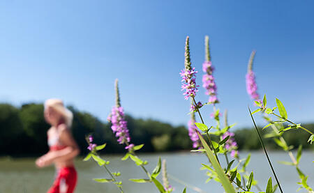 [Translate to Néerlandais:] 