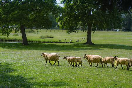 [Translate to Néerlandais:] 