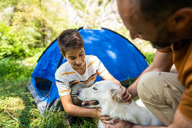 [Translate to Néerlandais:] 