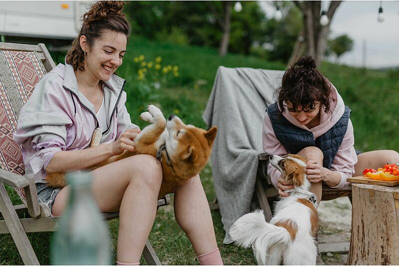 [Translate to Néerlandais:] 