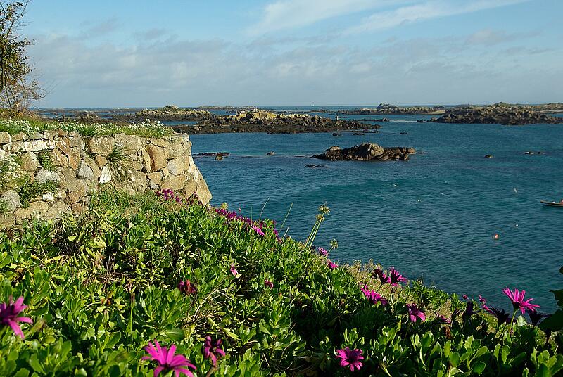 [Translate to Néerlandais:] 