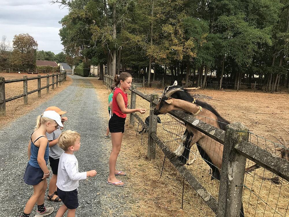 Camping Castel Camping Château de Chanteloup SILLE-LE-PHILIPPE Pays de la Loire 11