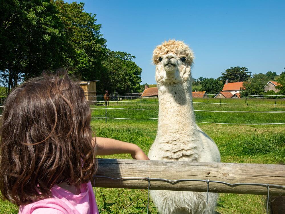 Camping Castel Camping Château de Lez-Eaux Saint Pair sur mer Normandië 10