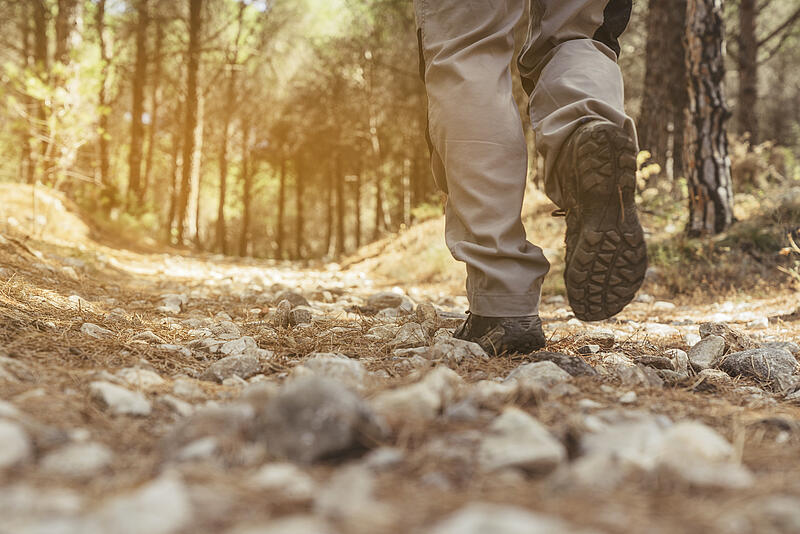 [Translate to Néerlandais:] 