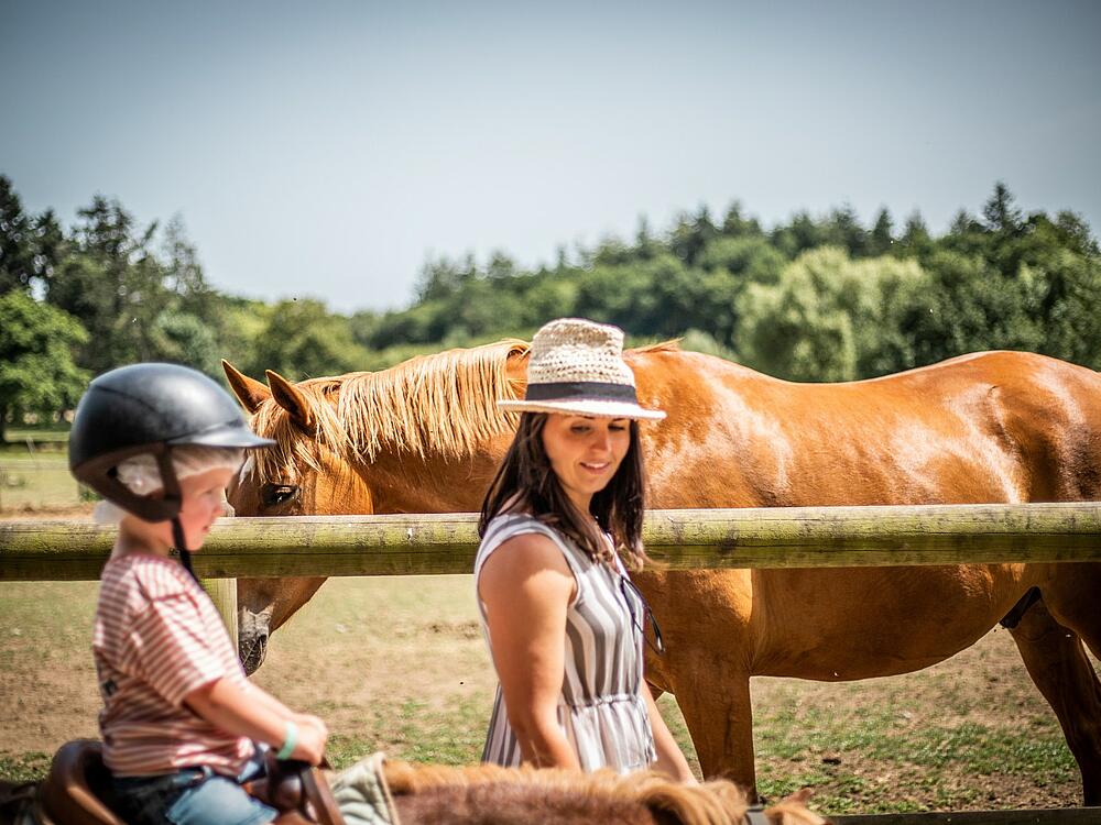 Camping Castel Camping Les Ormes, Domaine & Resort DOL DE BRETAGNE Bretagne 18