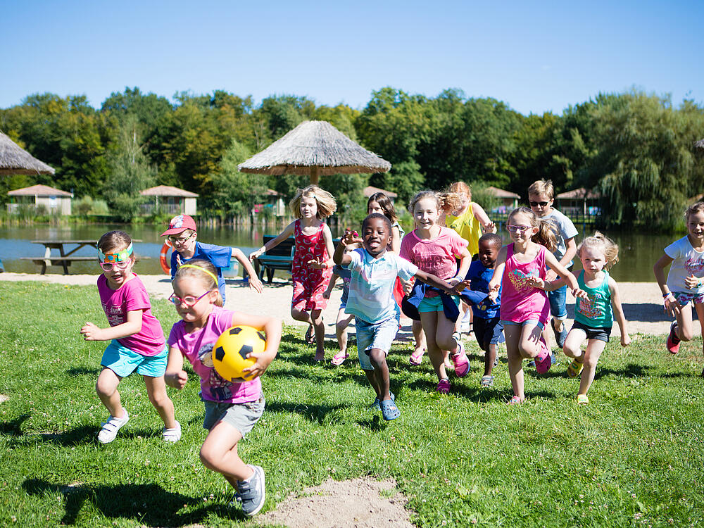 Camping Castel Camping Les Bois du Bardelet GIEN Centre-Val de Loire 6