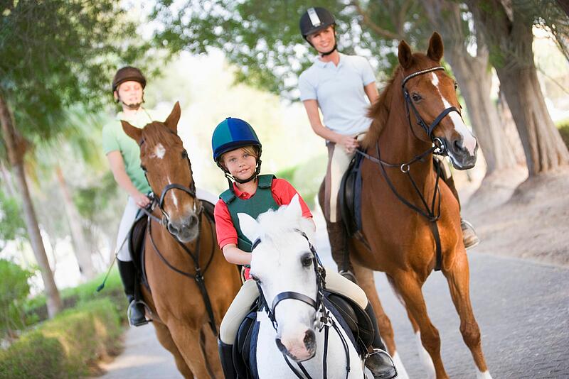 [Translate to Néerlandais:] 