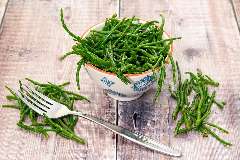 [Translate to Néerlandais:] 