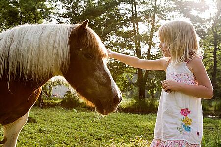 [Translate to Néerlandais:] 